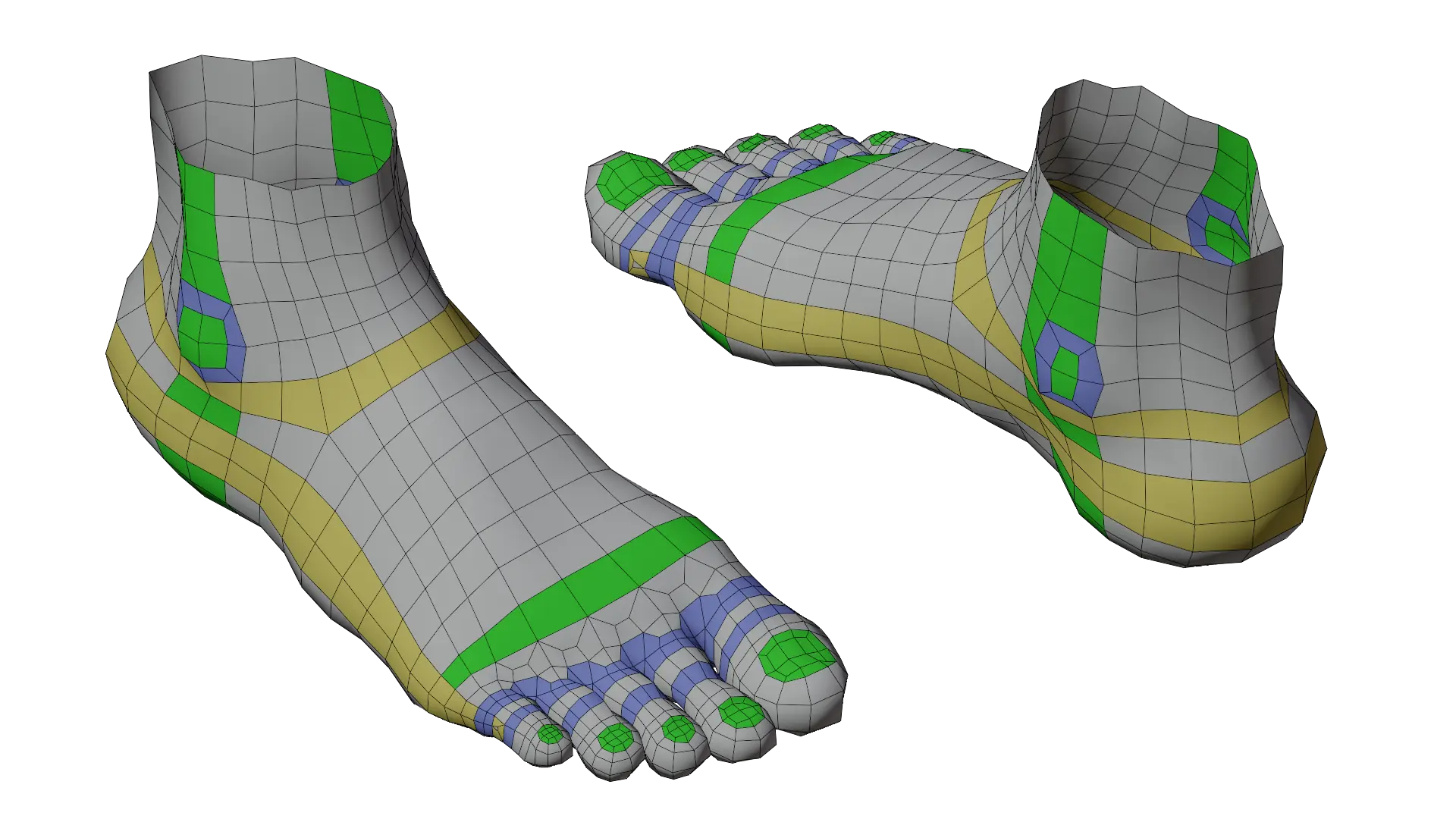 Foot Topology