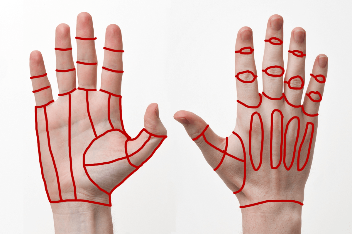 3d hand