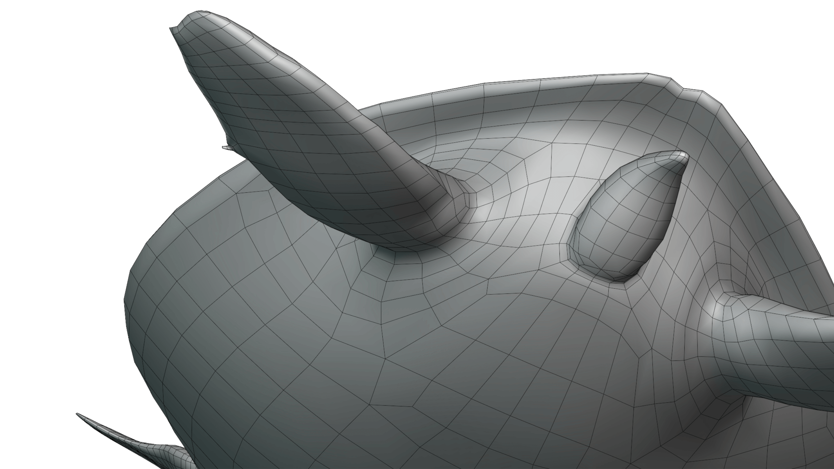 character mesh topology